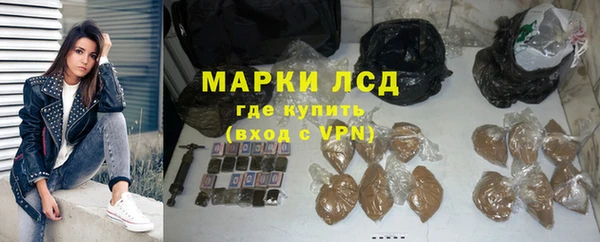 сатива Магадан