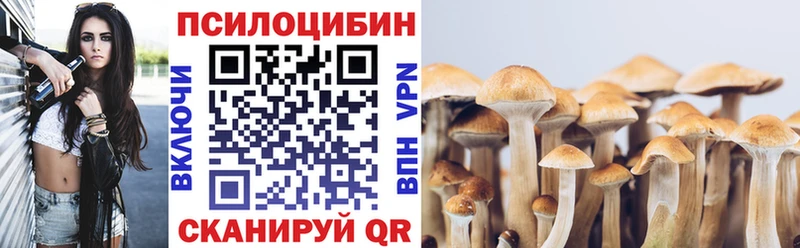 Псилоцибиновые грибы Psilocybe  Купить где  Надым 